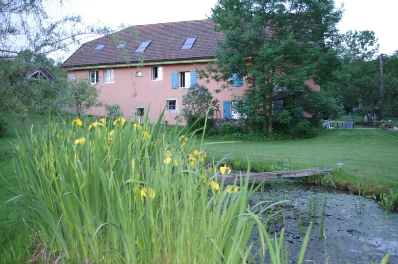 CenseauLe Moulin Des Oyes住宿加早餐旅馆 外观 照片
